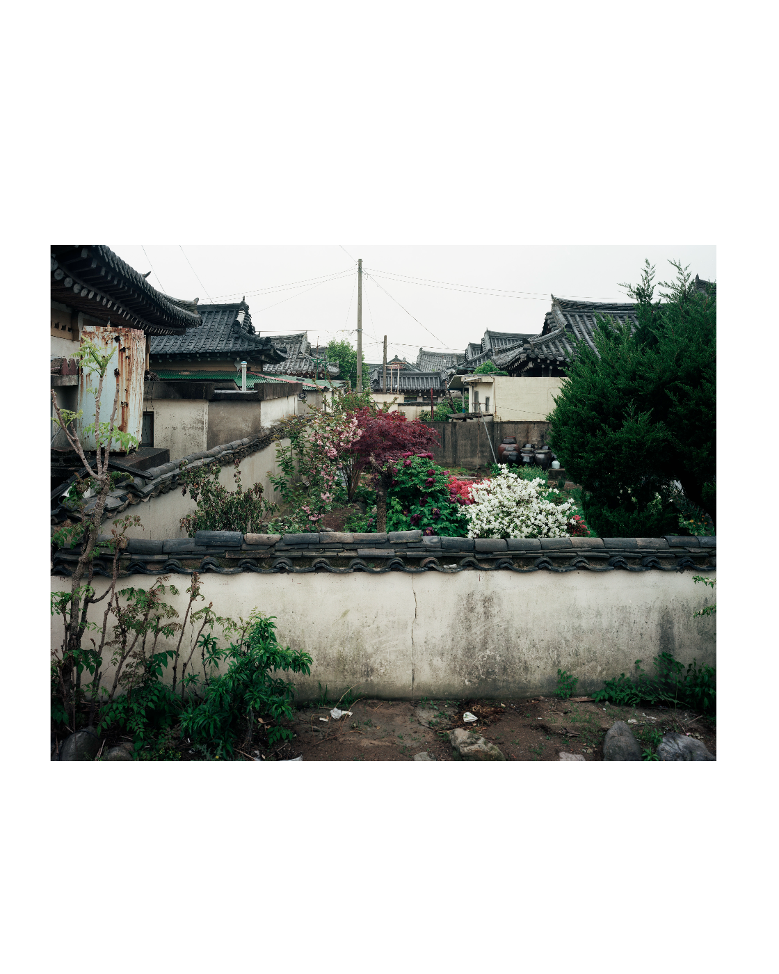 Thomas Struth