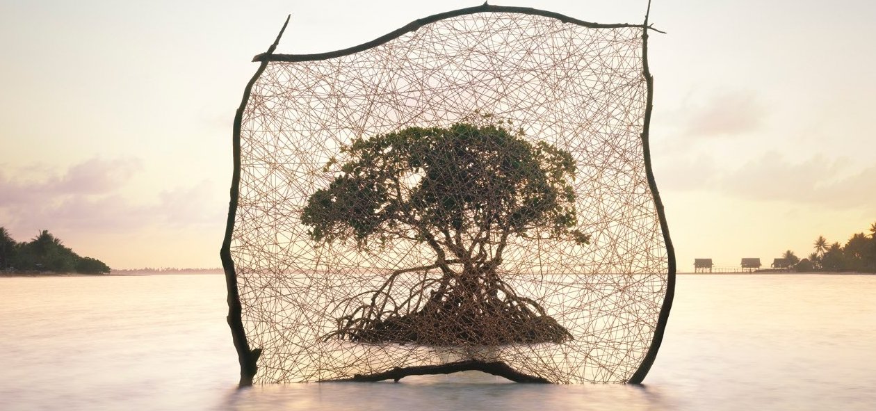 Myoung Ho Lee (no)thing