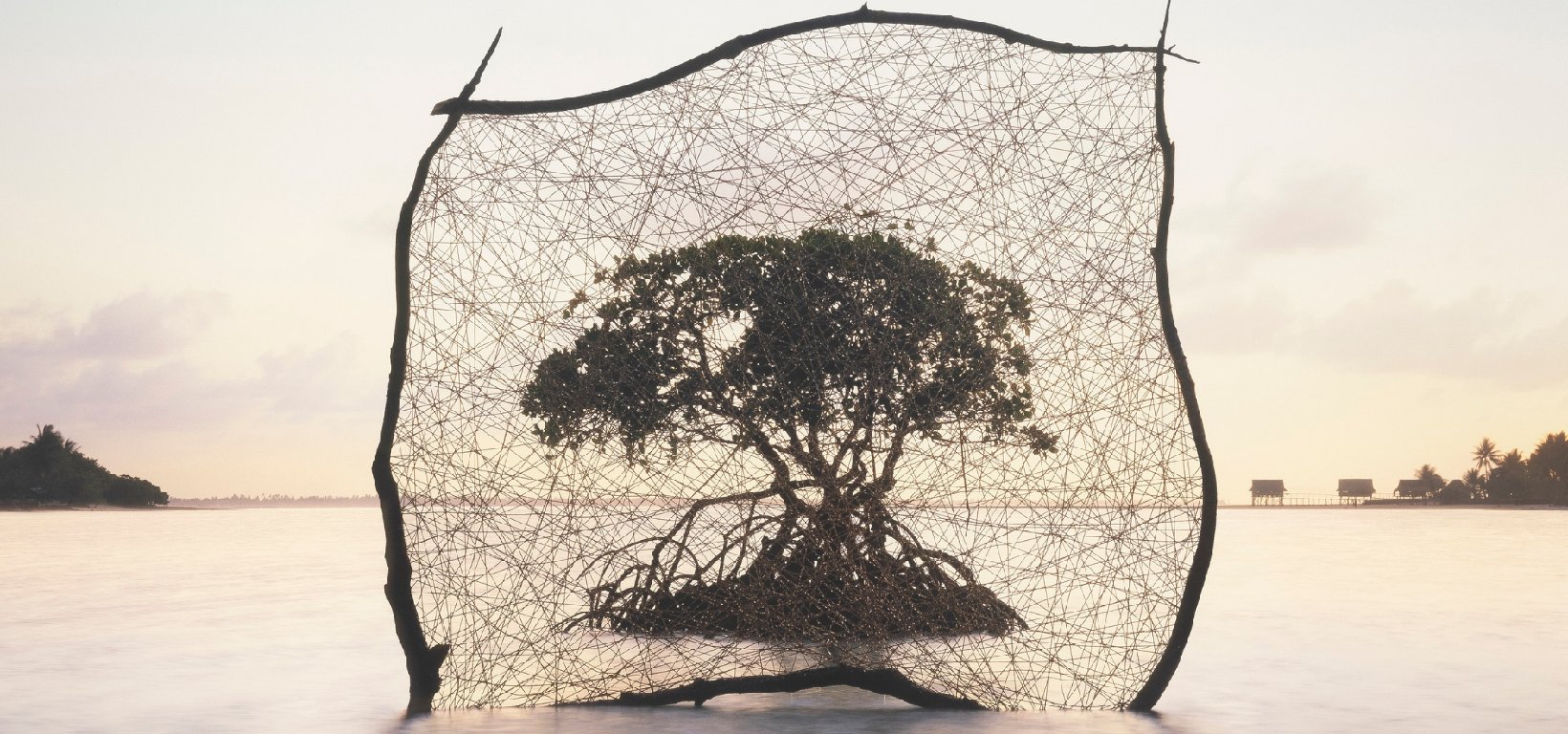 Myoung Ho Lee (no)thing